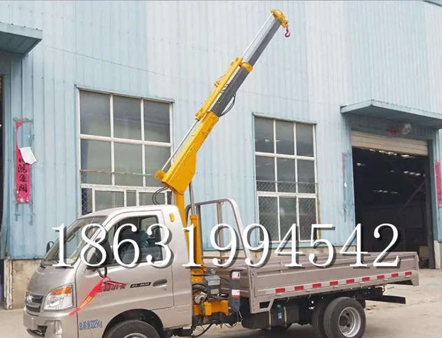 浏阳市车载吊机起重升降机车载吊机轻卡移动悬臂吊移动12/24V车载吊